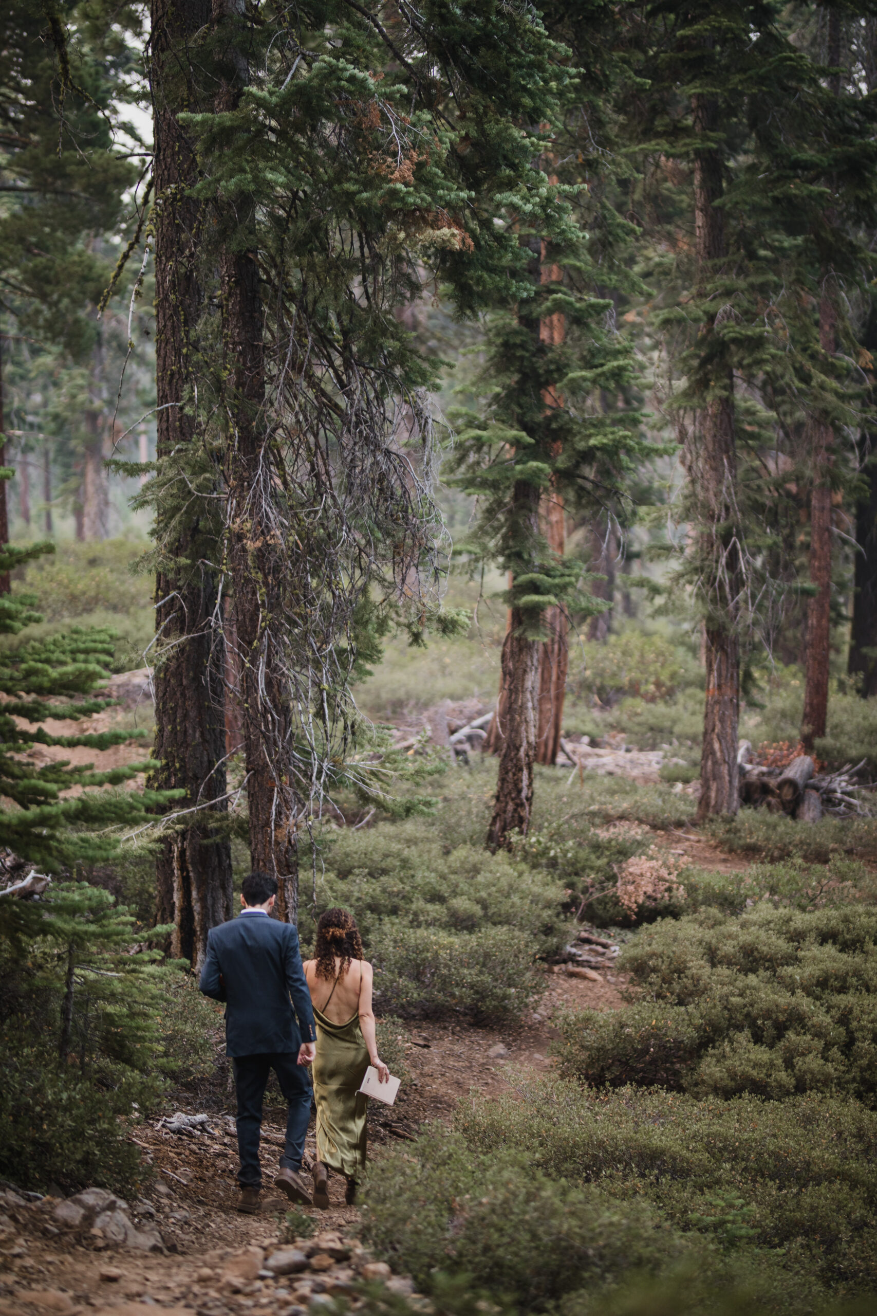 lake tahoe elopement photographer